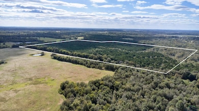 TBD Wolf Rd, Pittsburg, TX 75686 - photo 3