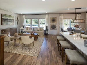 Landrum family rm, kit, & dining