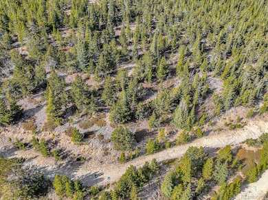 111 Hilltop Rd, Idaho Springs, CO 80452 - photo 6