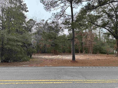 2883 E Highway 19, Conway, SC 29526 - photo 7