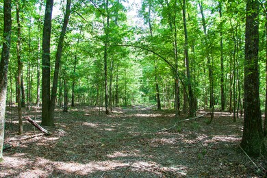 Springhill D-03