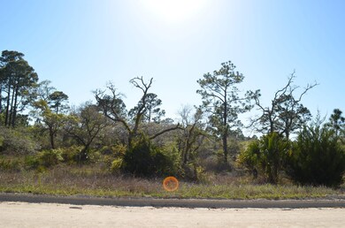 000 Yates Creek Rd unit 2, Perry, FL 32348 - photo 3