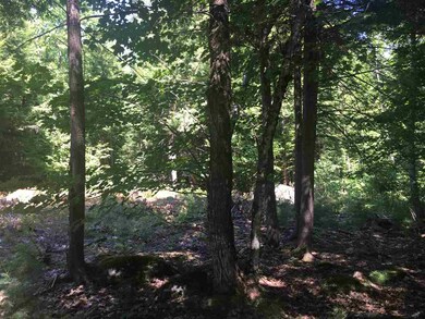 1 Pond View Dr unit Lot 1, Tuftonboro, NH 03816 - photo 3