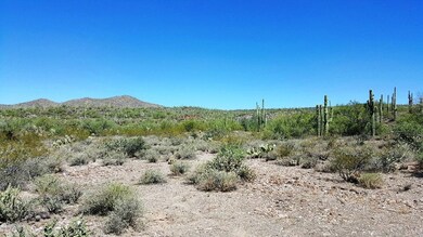 Lot Borders National Forrest