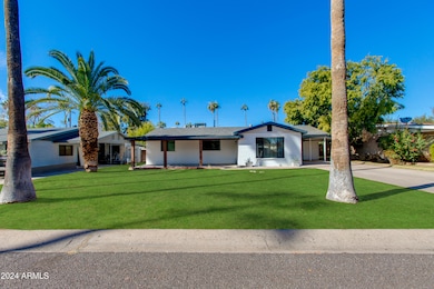 Palm Tree Lined Street