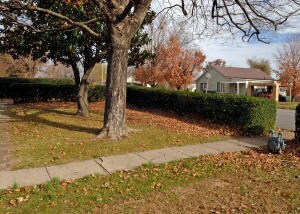 Front Yard