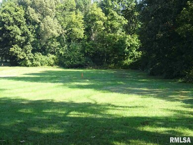 1104 Mchaney Rd, Harrisburg, IL 62946 - photo 4