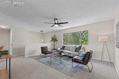 Brand new carpet and paint.
