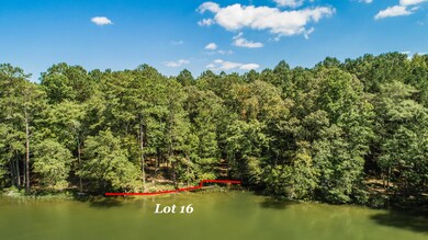 1887 Sturdivant Rd, Jacksons Gap, AL 36861 - photo 3