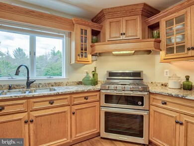 19255 Walsh Farm Ln, Bluemont, VA 20135 - photo 7