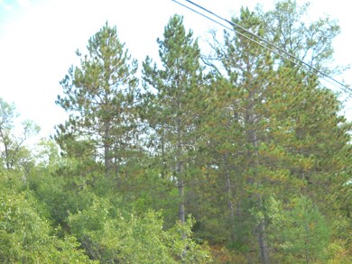 DSCN0030