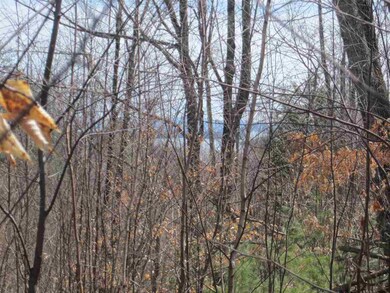 146 Daniel Webster Hwy, Meredith, NH 03253 - photo 5