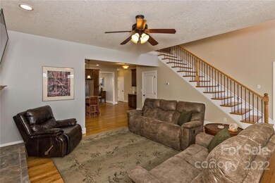 63 Bear Creek Hills Dr, Leicester, NC 28748 - photo 4