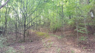 Lovely wooded lot in LakeWood