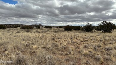 7565 Cedar Ln, Snowflake, AZ 85937 - photo 6