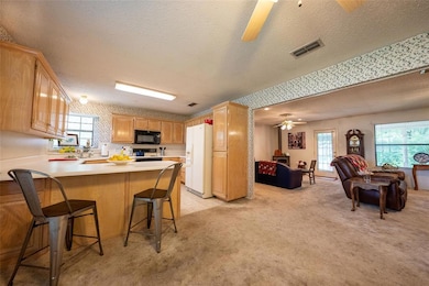 913 Thelma Dr, Granbury, TX 76049 - photo 6