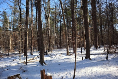 577 Schodack Landing Rd, Schodack Landing, NY 12156 - photo 5