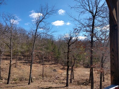 391 Longfellow Dr, Mountain Home, AR 72653 - photo 3