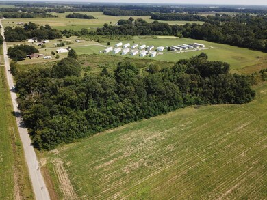 311 Tommie Moore Rd, Winnsboro, LA 71295 - photo 5