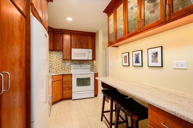 105 S Arlington Ave unit 104, Elmhurst, IL 60126 - photo 7