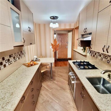 2626 Homecrest Ave unit 5, Brooklyn, NY 11235 - photo 4