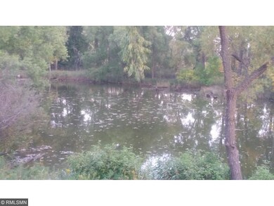 Natural Pond