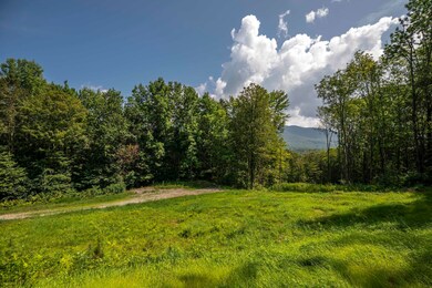 0 Foote Rd unit 5053891, Dorset, VT 05251 - photo 6