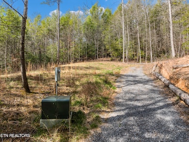 mossy cove way lot-7