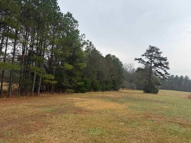 TBD Polk County Road 290, Cove, AR 71937 - photo 2