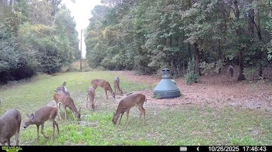 0 N Main St, Ashburn, GA 31714 - photo 6