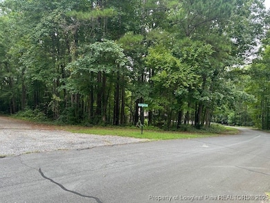 162 Woodwedge Way, Sanford, NC 27332 - photo 2