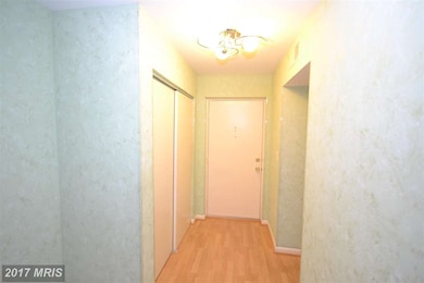 8003 Greenspring Way unit H, Owings Mills, MD 21117 - photo 4