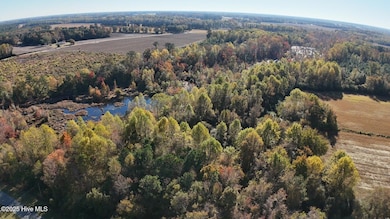 294 James Price Rd, Seven Springs, NC 28578 - photo 6