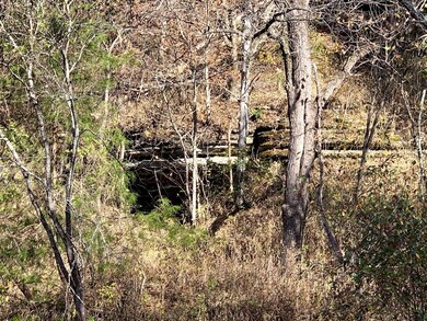 IMG_8273