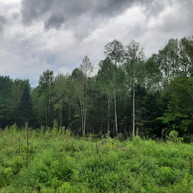 Lot 16 Oakes Rd, Columbia, NH 03576 - photo 7