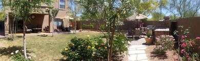 backyard2