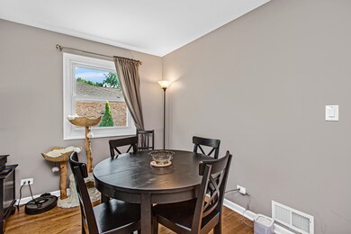 892 S 3rd Ave, Des Plaines, IL 60016 - photo 7