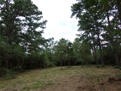 30320 Hegar Rd, Hockley, TX 77447 - photo 6