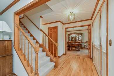 562 Bovidae Cir, Naperville, IL 60565 - photo 3