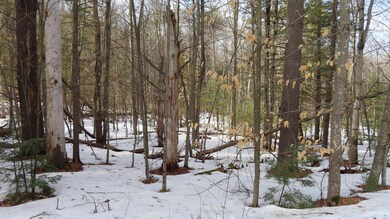 47 Juniper Ridge Rd, Gilford, NH 03249 - photo 4