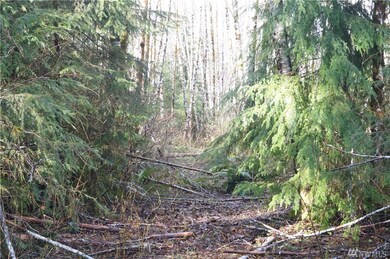 0 U S 101, Raymond, WA 98577 - photo 3