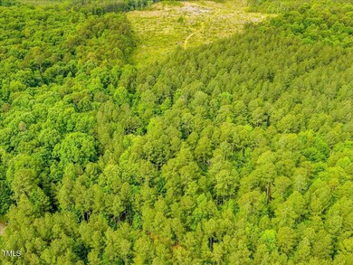 0 Alston Chapel Rd unit 10002080, Pittsboro, NC 27312 - photo 5