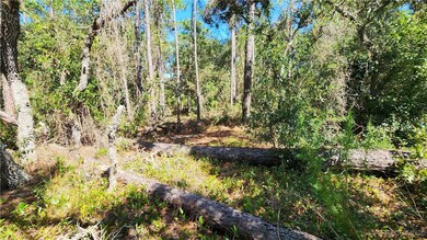 3659 W Lappula Ln, Citrus Springs, FL 34433 - photo 5