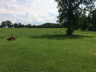 303 Henderson Rd, Shelbyville, TN 37160 - photo 3