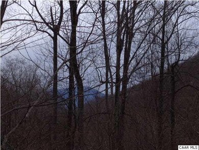 The home site on Lot 3, with a bit of clearing, wi