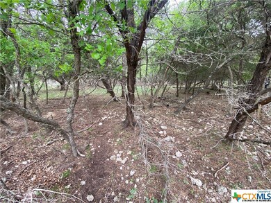 15945 Crockett Dr, Temple, TX 76502 - photo 4