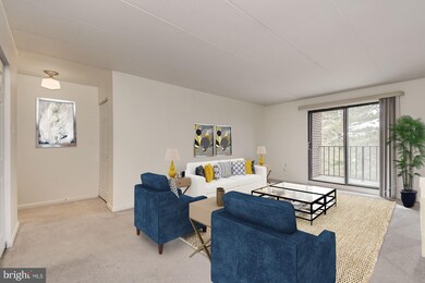 132 Roberts Ln unit 302, Alexandria, VA 22314 - photo 6