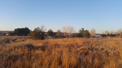 Lot View