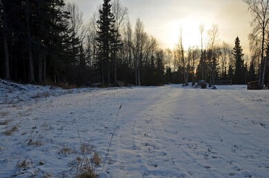 DSC_2885_edited.JPG