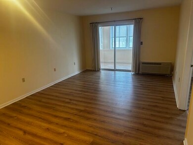 3 Village Cir unit 304, Stroudsburg, PA 18360 - photo 6